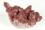 Natural Red Quartz Crystal Cluster - Morocco #199092-1